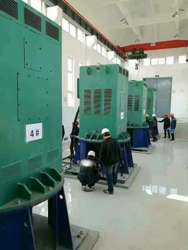 义县某污水处理厂使用我厂的立式高压电机安装现场